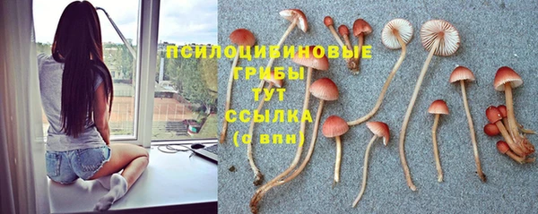мяу мяу кристалл Алексин